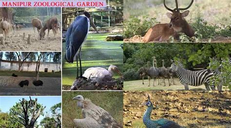  Zoológico de Ypenburg, Um Santuário Animal Envolvente para Aventuras Inesquecíveis!