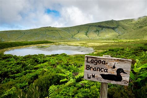  A Lagoa Branca de Baicheng: Uma Jóia Escondida com Água Azul-Turquesa e Paisagens Inspiradoras!