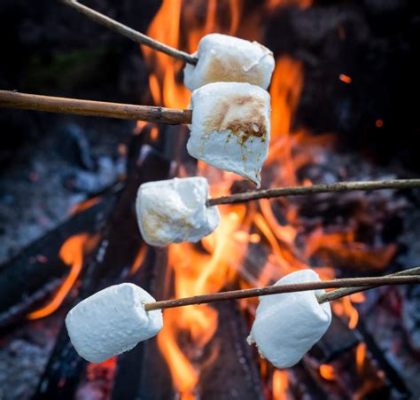 バーベキューマシュマロ：炎と甘さの融合が生む新たな食文化