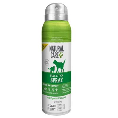 Can I Spray Bug Spray on My Dog? Exploring the Intersection of Pet Care and Insect Repellents