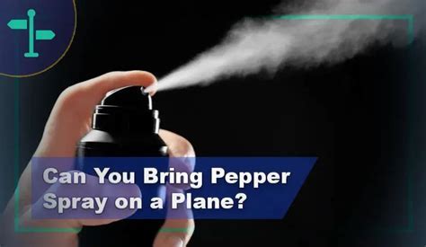 Can You Take Aerosol Hair Spray on a Plane? And Why Do Airports Smell Like Regret and Overpriced Coffee?