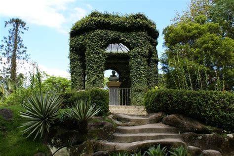 Jardim Botânico do Rio de Janeiro: Um Oásis de Beleza e Conhecimento no Coração da Cidade Maravilhosa!