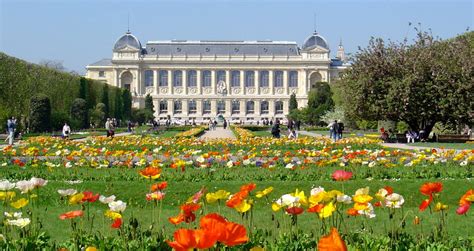 Le Jardin des Plantes: Um Oásis de Biodiversidade no Coração de Paris!