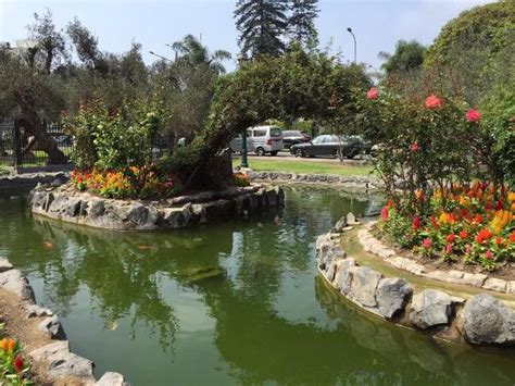  O Parque Xinlu: Um Refúgio Verde de Tranquilidade e Beleza Natural em Pingxiang!