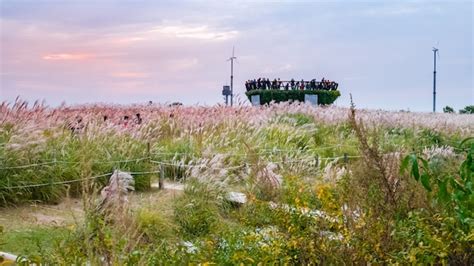 Parque Haneul: Uma Janela Para o Céu e Refúgio para Espíritos Cansados!