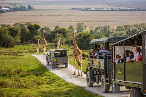 The Port Lympne Animal Park: A Wild Escape for Nature Enthusiasts and Adventurers!