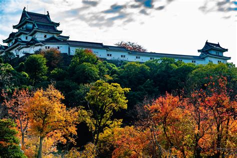 和歌山から東京 新幹線 ～時空を超える旅の可能性～