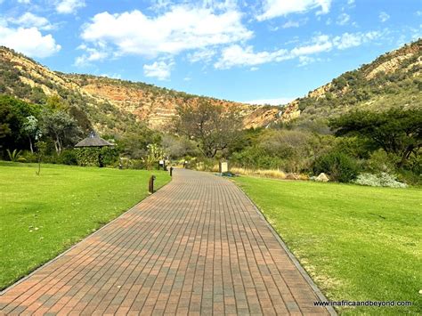 Walter Sisulu National Botanical Garden: Um refúgio verdejante para a alma aventureira!