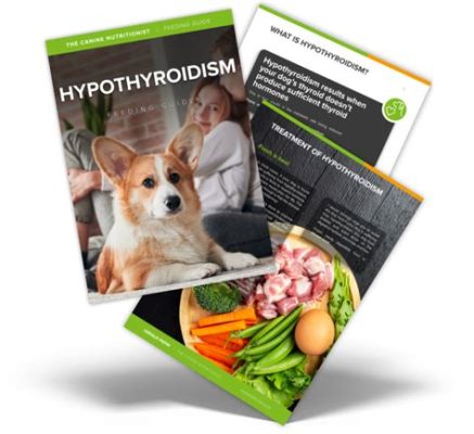 What to Feed a Dog with Hypothyroidism and Why Your Dog Might Secretly Love Broccoli